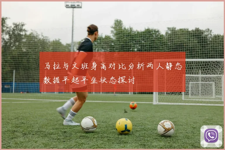 马拉与文班身高对比分析两人静态数据平起平坐状态探讨